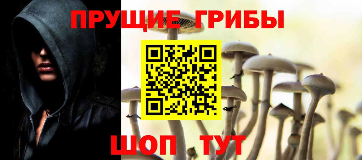 Псилоцибиновые грибы MAGIC MUSHROOMS Тихорецк