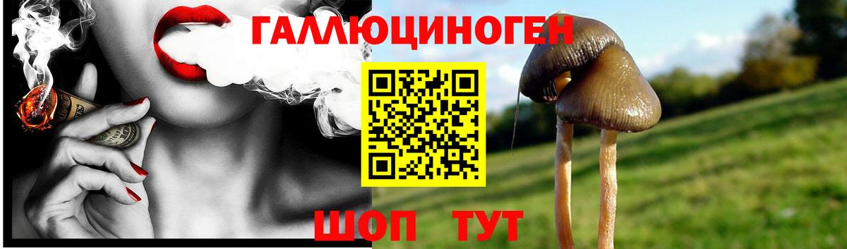 Тихорецк  Псилоцибиновые грибы MAGIC MUSHROOMS  где найти наркотики  Псилоцибиновые грибы ЛСД  Вход с VPN 